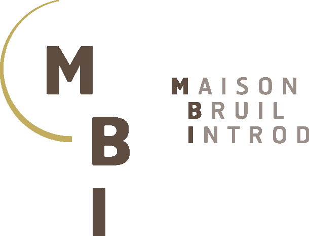 Logo Maison Bruil Introd